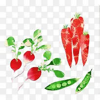 水彩蔬菜-空若网 水彩蔬菜-空若网