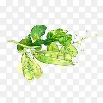 水彩豌豆-空若网 水彩豌豆-空若网