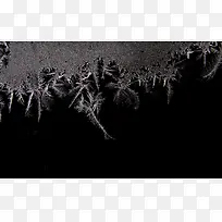 ºÚɫѩ»¨±³¾°-¿ÕÈôÍø ºÚɫѩ»¨±³¾°-¿ÕÈôÍø