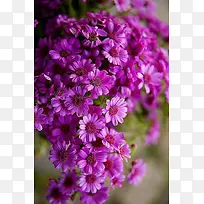 �����������ջ��ջ�-������