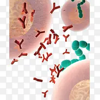 ����ϵͳ��ԭ����-������