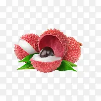 ��ɽ��֦-������