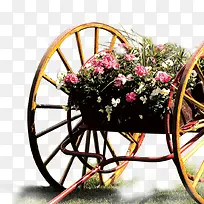 ���ֻ�-������