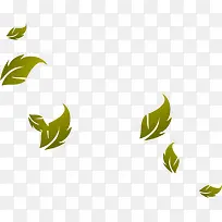 绿叶漂浮-空若网 绿叶漂浮-空若网