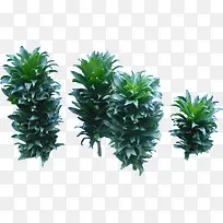 �ͺ�ֲ��ֲ㴴��-������