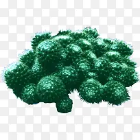 �����ͺ�ֲ��ͼƬ-������