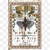 复古怀旧的英文昆虫图案-空若网 复古怀旧的英文昆虫图案-空若网