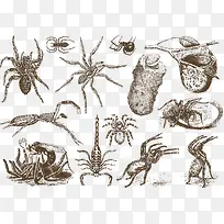 ʸÁ¿À¥³æ-¿ÕÈôÍø ʸÁ¿À¥³æ-¿ÕÈôÍø