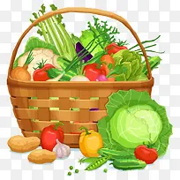 蔬菜-空若网 蔬菜-空若网