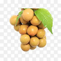 进口新鲜水果-空若网 进口新鲜水果-空若网