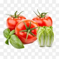 ������ͬ���߲�-������