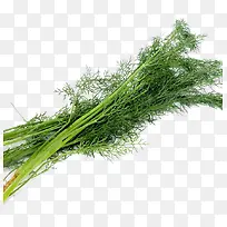 ÂÌÉ«µÄÜîÏã-¿ÕÈôÍø ÂÌÉ«µÄÜîÏã-¿ÕÈôÍø