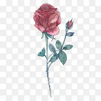 手绘玫瑰-空若网 手绘玫瑰-空若网