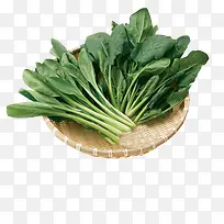 蔬菜-空若网 蔬菜-空若网