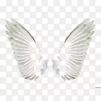 光景-翅膀-空若网 光景-翅膀-空若网