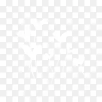 ��ɫ������������װ��-������