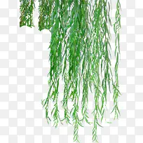 ����Ұ������֦װ��-������