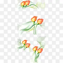 矢量马蹄莲装饰花纹素材-空若网 矢量马蹄莲装饰花纹素材-空若网