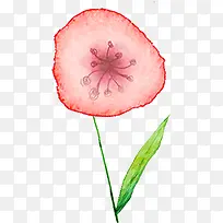 手绘水彩红色的牵牛花-空若网 手绘水彩红色的牵牛花-空若网