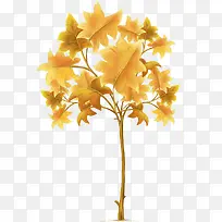 橙色漂亮树枝树叶-空若网 橙色漂亮树枝树叶-空若网