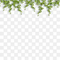 树枝-空若网 树枝-空若网