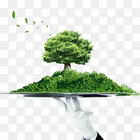 盘子上的树-空若网 盘子上的树-空若网