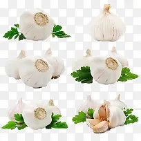 大蒜-空若网 大蒜-空若网