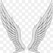 ��ɫ����ʹ���-������