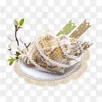 珍珠海螺-空若网 珍珠海螺-空若网