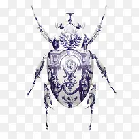 创意甲虫-空若网 创意甲虫-空若网