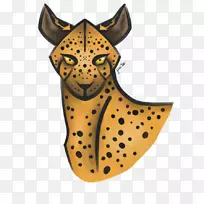 大猫食肉动物猎豹-空若网 大猫食肉动物猎豹-空若网