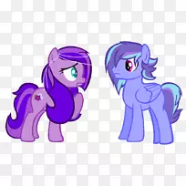 马紫独角兽生日-空若网 马紫独角兽生日-空若网