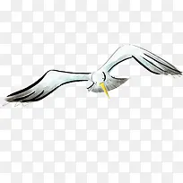 �ֻ溣Ÿ-������