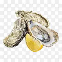 海鲜生蚝-空若网 海鲜生蚝-空若网