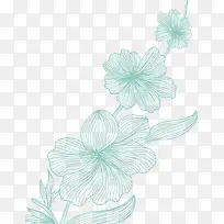 ÂÌÉ«ÏßÌõ»¨»Ü-¿ÕÈôÍø ÂÌÉ«ÏßÌõ»¨»Ü-¿ÕÈôÍø