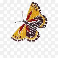 ´ÌÐåºûµû-¿ÕÈôÍø ´ÌÐåºûµû-¿ÕÈôÍø