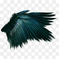 羽翅-空若网 羽翅-空若网