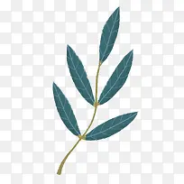 Ҷ��װ��-������