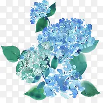 彩绘植物-空若网 彩绘植物-空若网