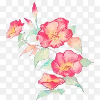 ���밮��˿-������