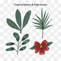 Ê÷ҶʸÁ¿ËزÄ-¿ÕÈôÍø Ê÷ҶʸÁ¿ËزÄ-¿ÕÈôÍø