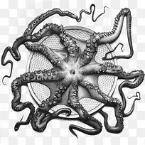 дʵÊÖ»æÕÂÓã-¿ÕÈôÍø дʵÊÖ»æÕÂÓã-¿ÕÈôÍø