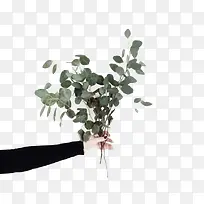 水彩手捧鲜花-空若网 水彩手捧鲜花-空若网