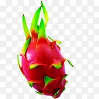 高清摄影海报火龙果-空若网 高清摄影海报火龙果-空若网