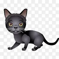 ��ɫ�ɰ��ʸ�Сè�ز�-������