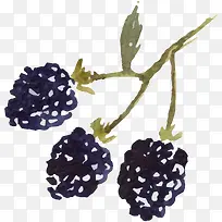 ��֦�ϵ�ɣ��-������