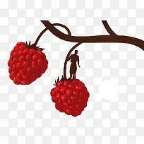 桑葚-空若网 桑葚-空若网