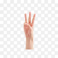 三根手指-空若网 三根手指-空若网