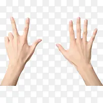 ˫�ֱȻ�����8-������