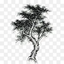 ���Ļ���-������